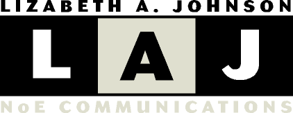 [noe communications splash logo]